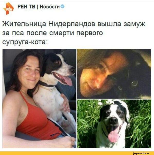 Вышла замуж за собаку