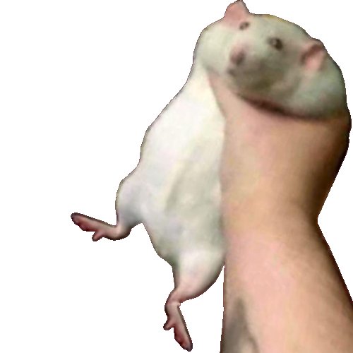 Лови хомяка