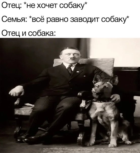 Отец и собака Мем