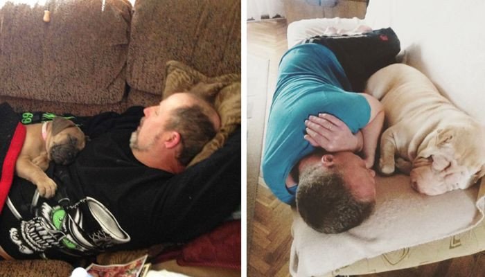 Папа был против собаки