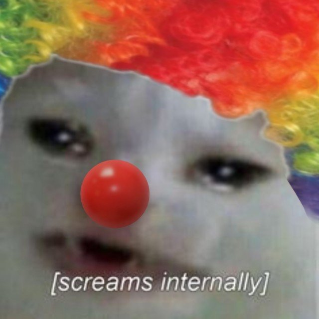 Котик клоун