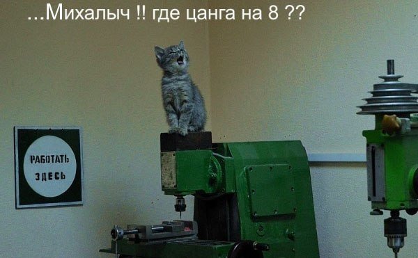 Кот на заводе