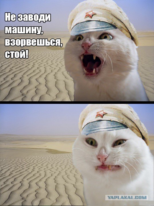 Верещагин уходи с баркаса