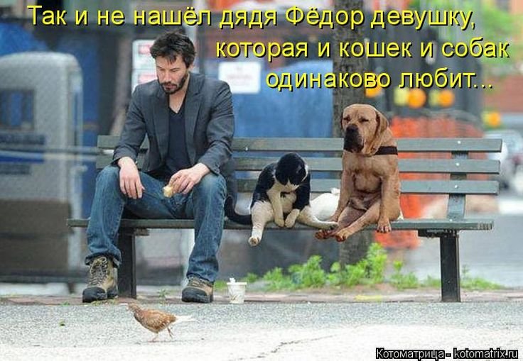 Киану Ривз на скамейке Мем