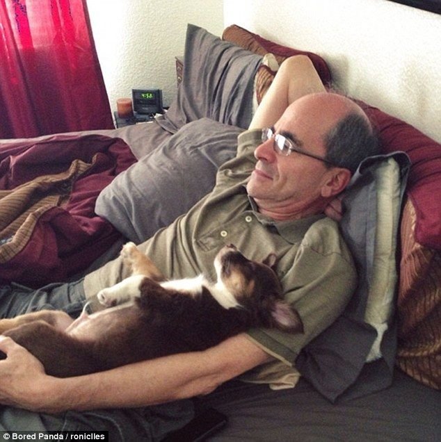 Папа собака