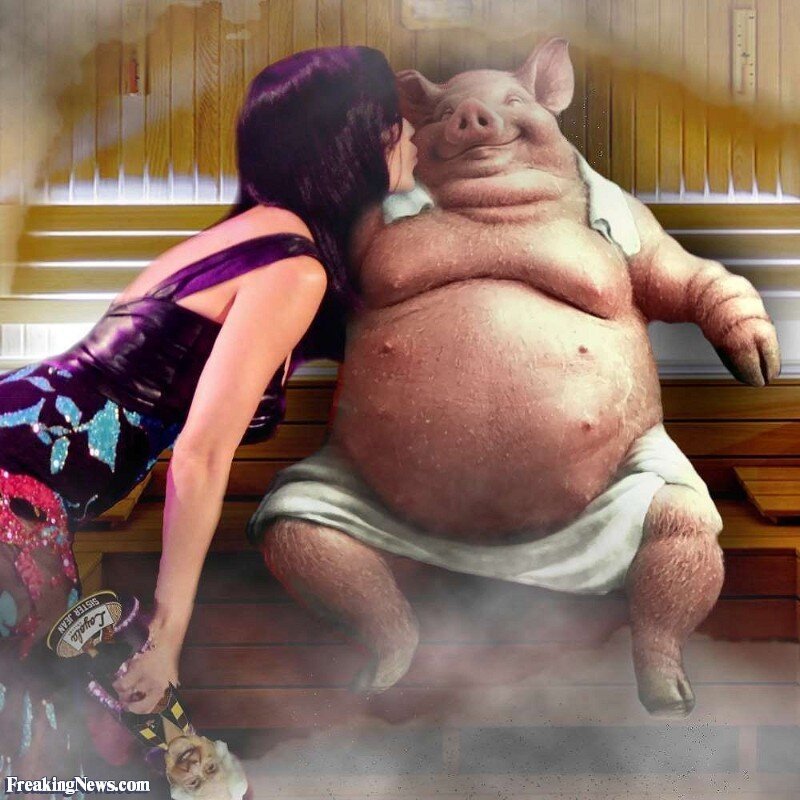 Толстая свинья человек