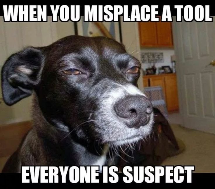 Собака подозревака Мем