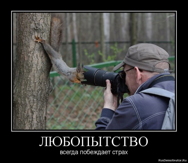 Излишнее любопытство