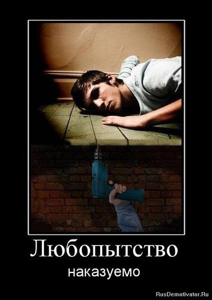 Про любопытных людей высказывания