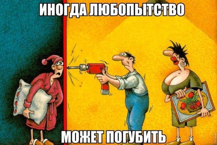 Шутки про любопытство