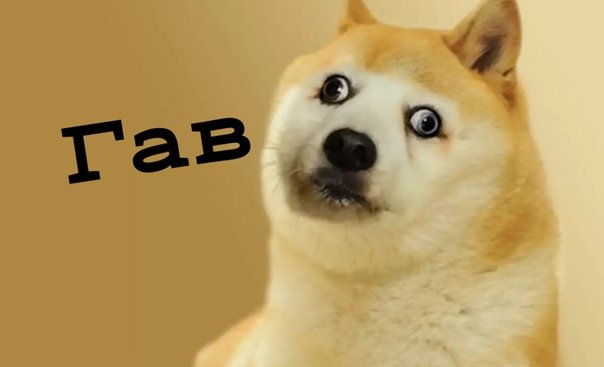 Мемы с собаками