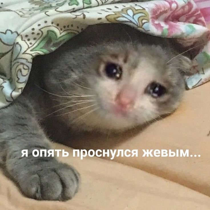 Я опять проснулся живым