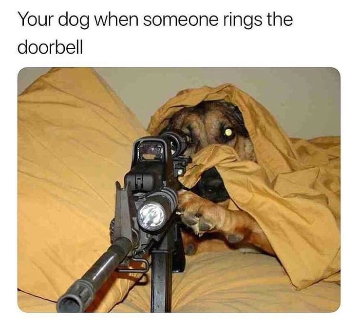 Смешная стрельба из пистолета