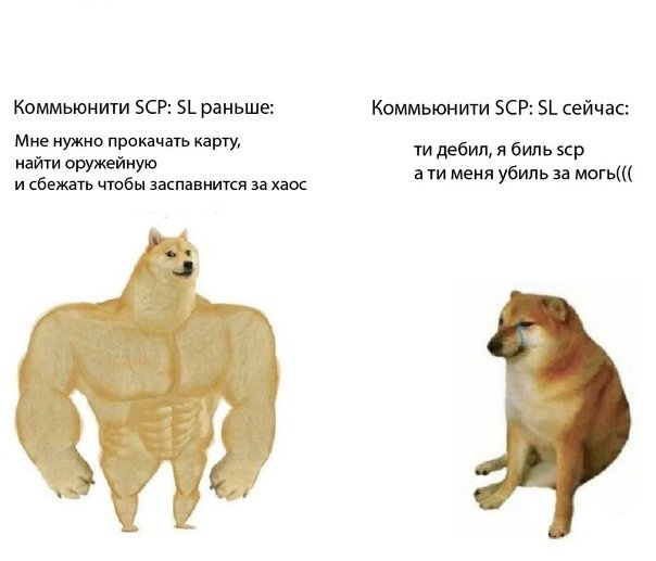 Собака в джинсах Мем