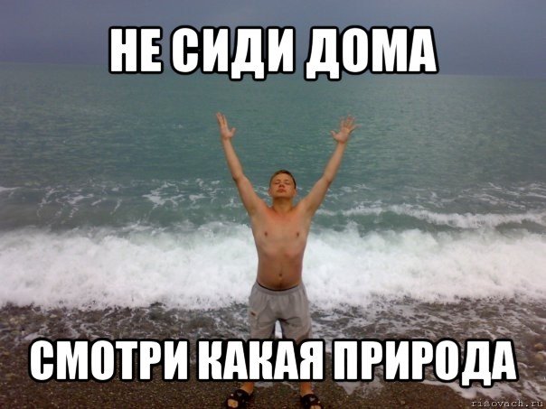 Мемы про природу