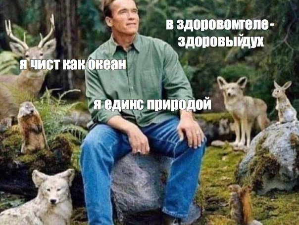Арнольд Шварценеггер Мем природа
