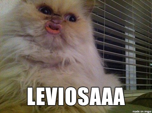 Упоротые коты