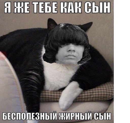 Толстый черный кот