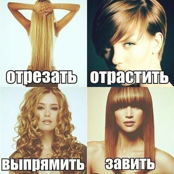 Приколы про парикмахеров