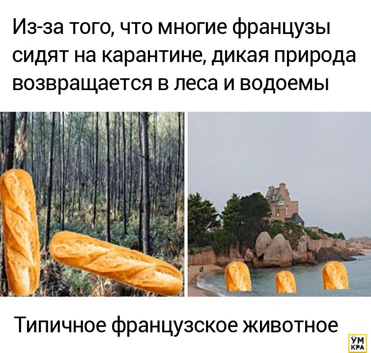 Мемы про природу