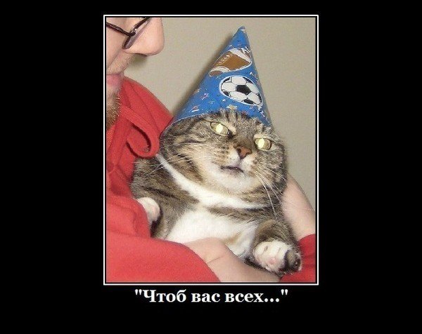 Кот волшебник