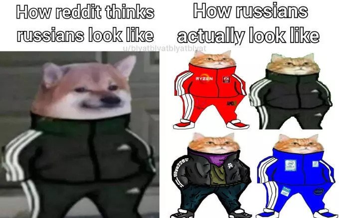 Собака в костюме адидас Мем