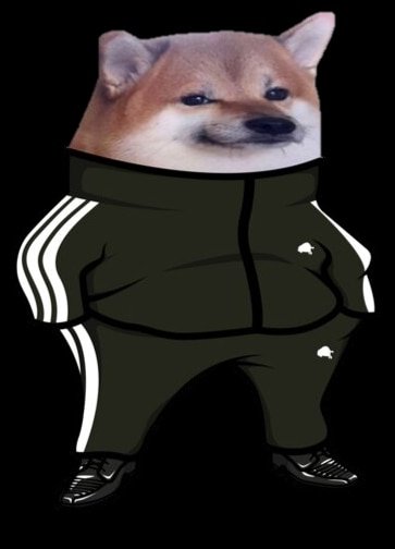 Doge в адидасе