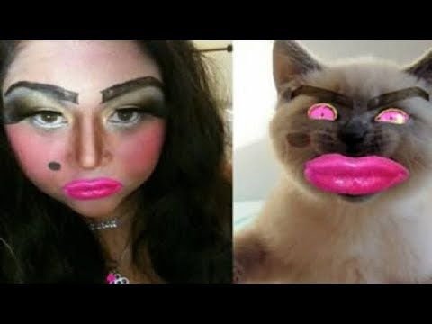 Кот с накрашенными бровями