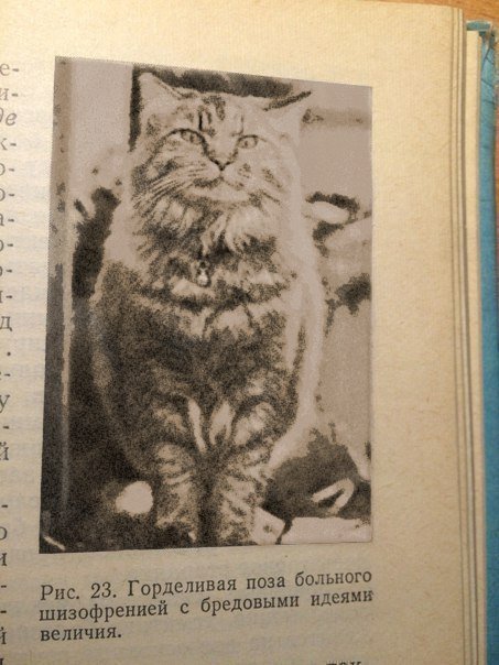 Поза больного шизофренией с бредовыми идеями