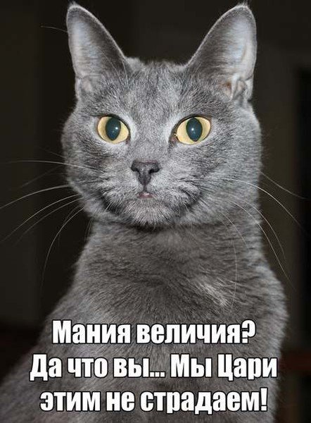 Мания величия