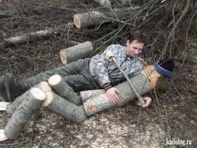 Бревно прикол
