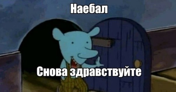 Котопес мышь Мем