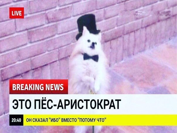 Breaking News Мем