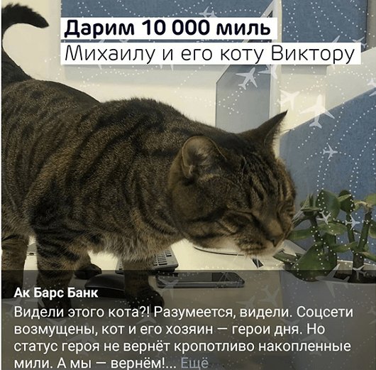 Кот Виктор мемы