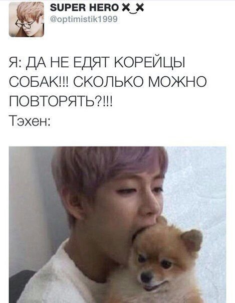 Кореец с собакой