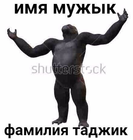 Имя мужик фамилия таджик Мем