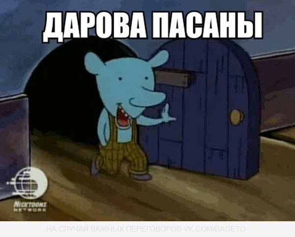 Котопес мышь Уинслоу