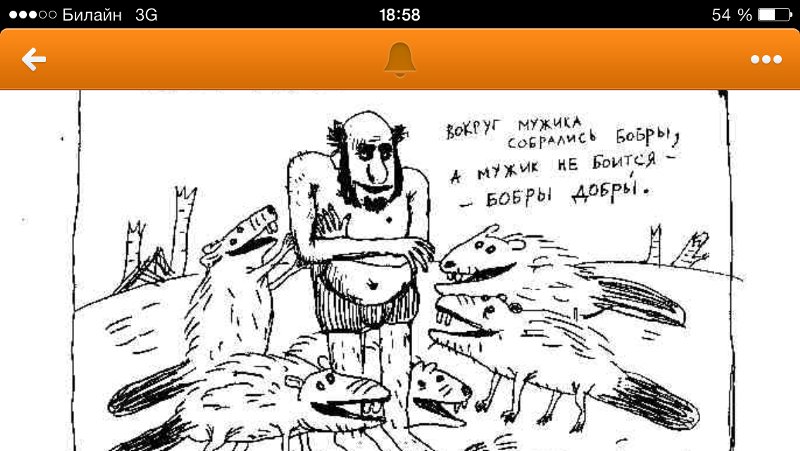 Бобры добры