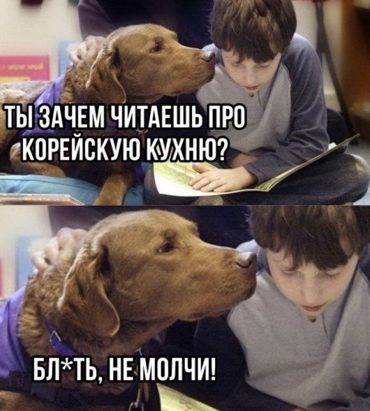 Мем про собаку и корейскую кухню