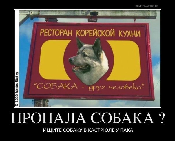 Шутки про корейцев и собак