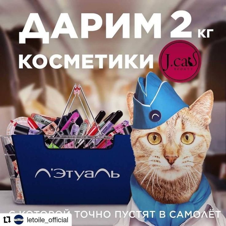 Кот Виктор Аэрофлот мемы