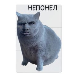 Не понял ВАЛАКАС кот