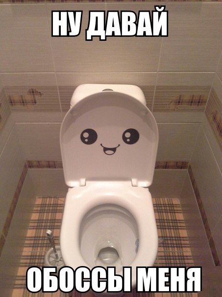 Мемы про туалет