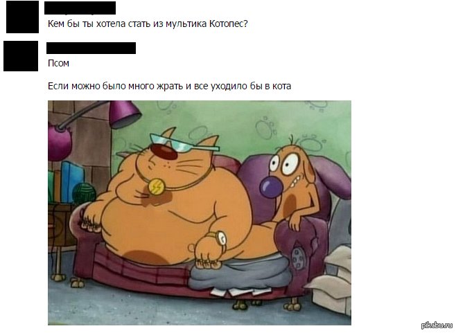 Котопес мемы