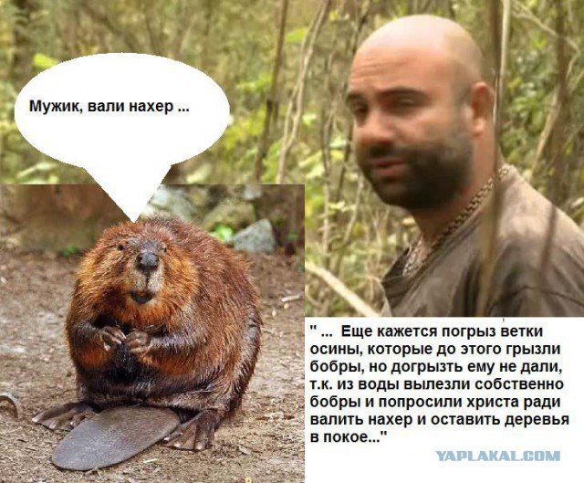 Тимофей Баженов Мем