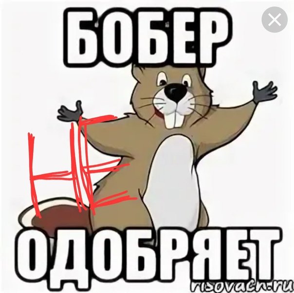Бобры Мем