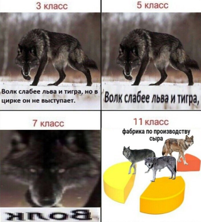 Мемы с волками и Цитатами