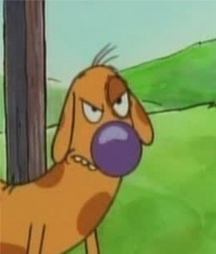 Пес из котопса