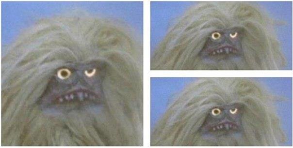 Пушистое чудовище