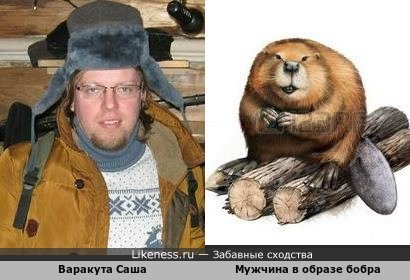 Бобер в образе человека
